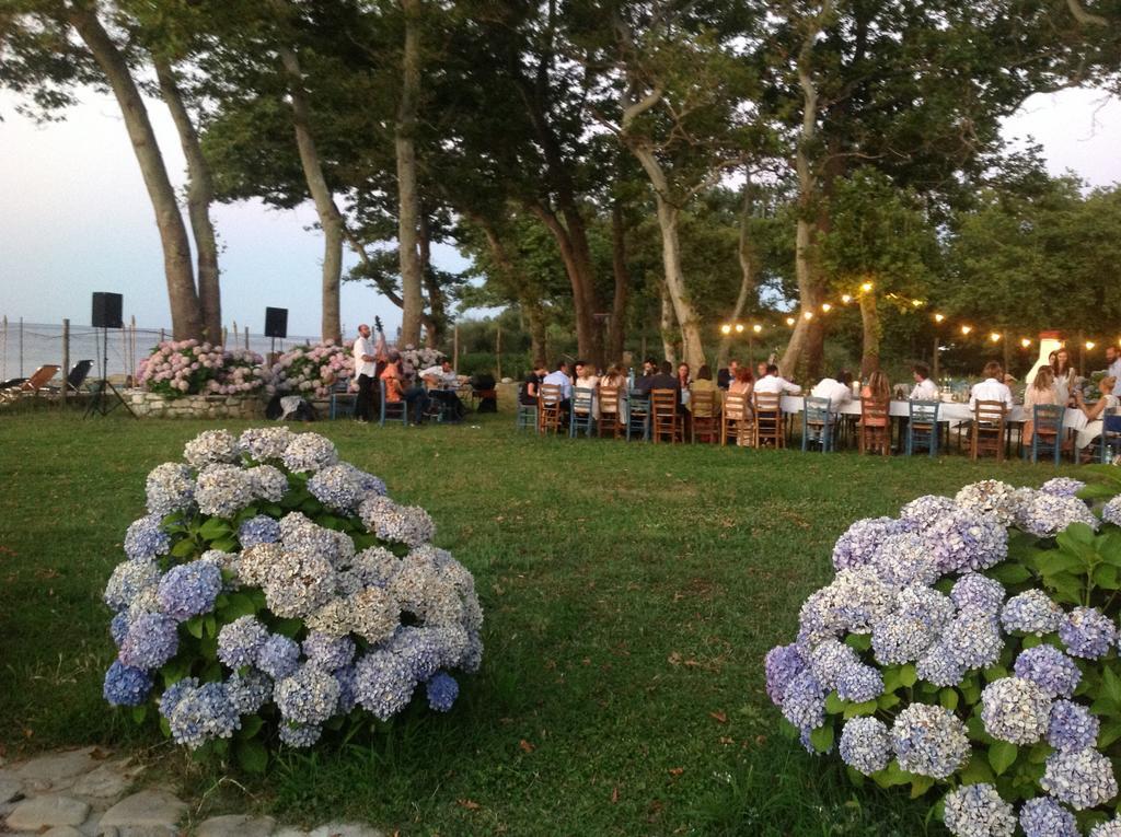 Archondissa Beach Aparthotel Therma  Extérieur photo