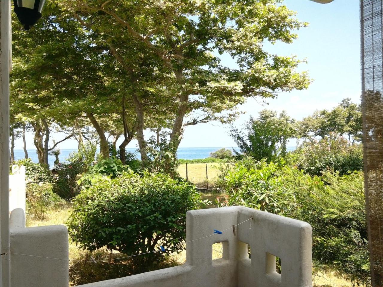 Archondissa Beach Aparthotel Therma  Extérieur photo