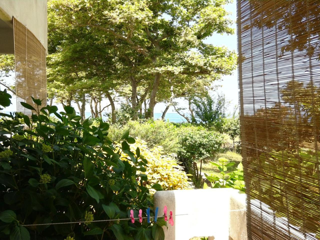Archondissa Beach Aparthotel Therma  Extérieur photo
